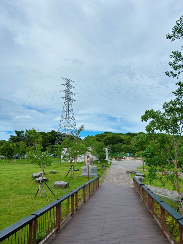 🌄虎頭山環保公園 藏在桃園半山腰的城市綠洲 從森林走到天空，這座免費觀景公園美得太超現實！