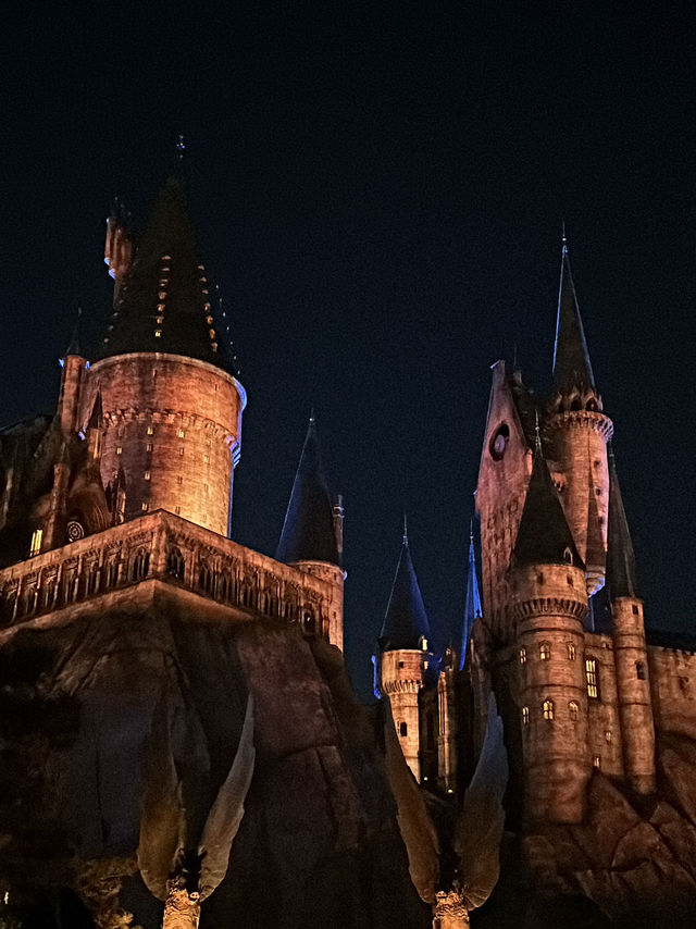 🪄Magical Night - Universal Beijing Resort 🎢✨