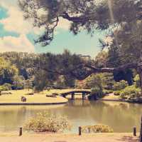 Rikugien Garden: A Solo Traveler’s 300-Year-Old Paradise in Central Tokyo"** 🌸🏯  