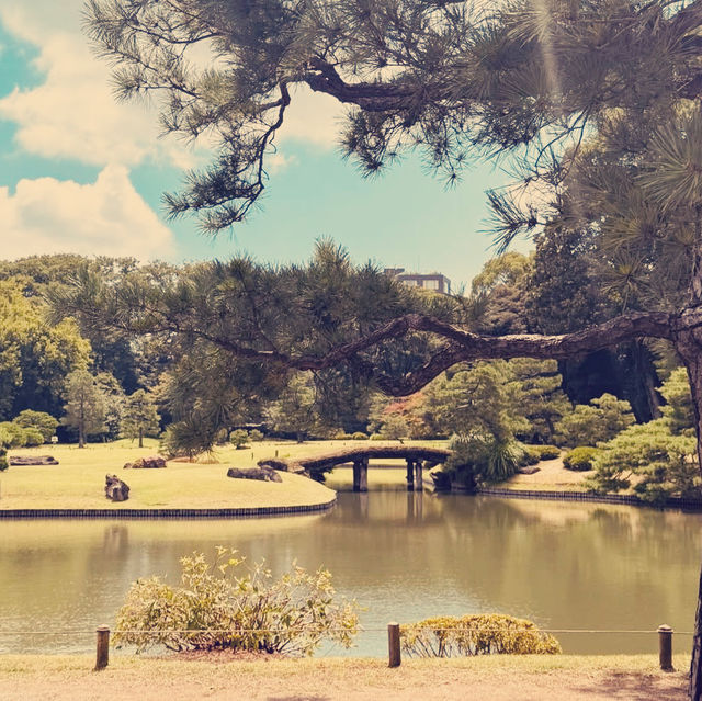 Rikugien Garden: A Solo Traveler’s 300-Year-Old Paradise in Central Tokyo"** 🌸🏯  