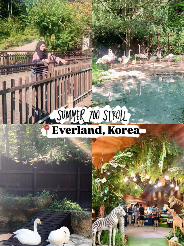 Summer Zoo Stroll: Everland, Korea