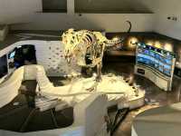 The Mind Museum – Where Science Comes Alive