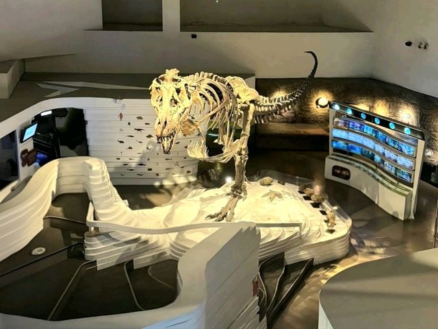 The Mind Museum – Where Science Comes Alive