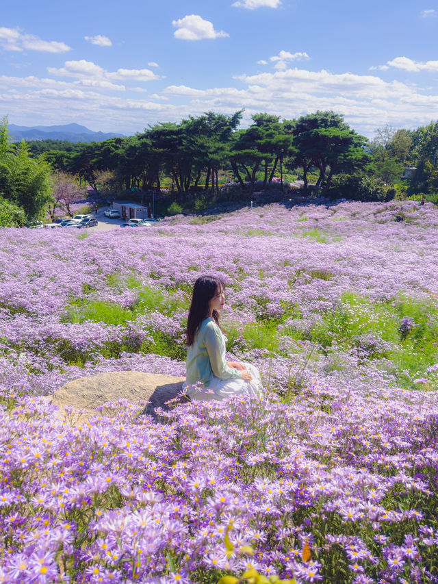 보랏빛 신비로운 풍경의 여행지
