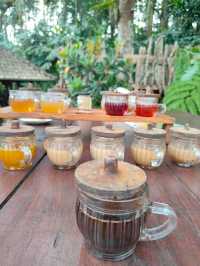 A Sip of Bali’s Soul: Tea & Coffee Tasting at the Plantation