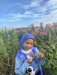 สวนลุงเวศน์ (Lungveat Garden)