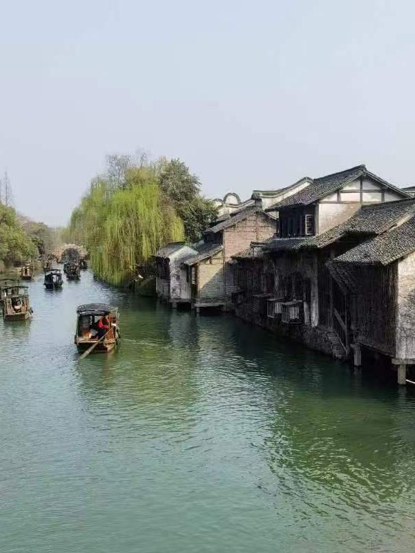 🌿 Tranquility by the Water — Daytime Strolls in Wuzhen