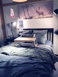 🛋️【横浜】IKEA港北で北欧インテリアと1日まるごと過ごす楽しみ方🧃🪑