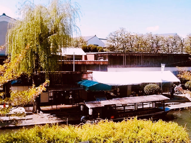 ⛩️ Let’s Go to Fushimi – Kyoto’s Sake & Shrine Wonderland! 🍶