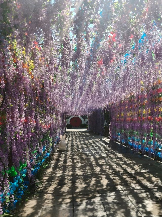 Where Fallen Petals Whisper – A Ruined Garden’s Living Classroom