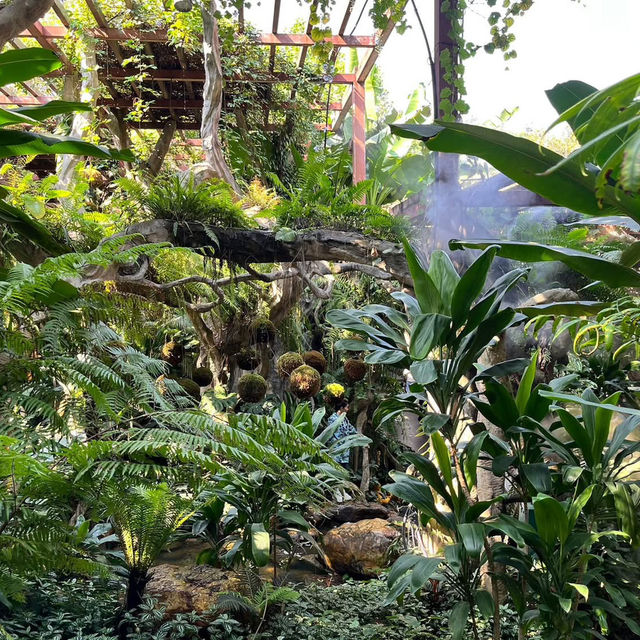 🌿 Escape into Nature at Qingxiu Mountain, Nanning (南宁青秀山)