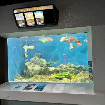 【日本・北海道🇯🇵】北の海を感じるユニークな水族館