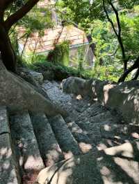 Coastal Charm and Cultural Vibrancy