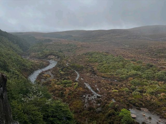 Volcano Views and Wild Vibes at Tongariro National Park