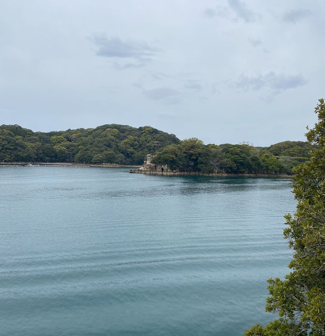 大房岬海岸園地—全景視野