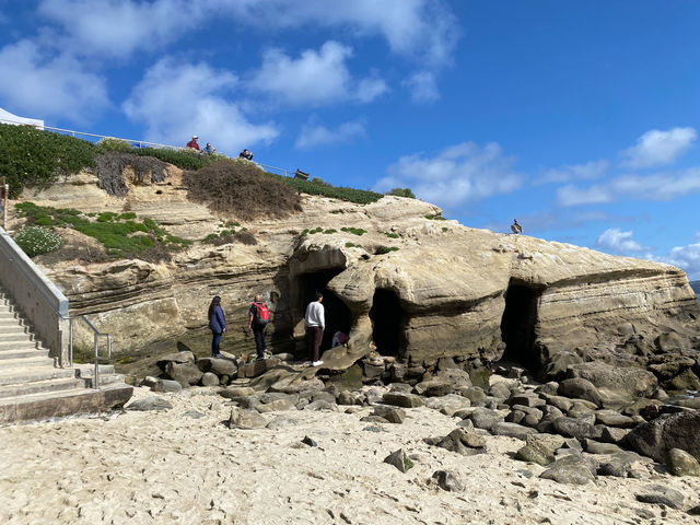 聖地牙哥 La Jolla 拉荷亞海灣 與海獅海豹一起賞日出
