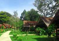 Taman Negara – Hanging Out with a 130-Million-Year-Old Legend