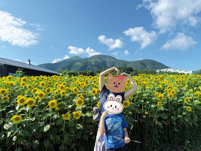 北海道高桥牧场