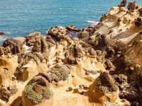🌊⛰️ *Solo Coastal Adventure:* Heping Island Geopark – Keelung’s Natural Sculpture Gallery 