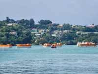 Charming Coastal Adventures in Castries