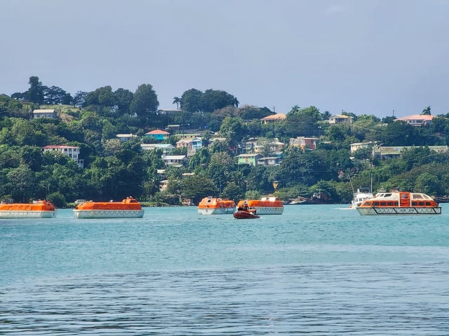Charming Coastal Adventures in Castries