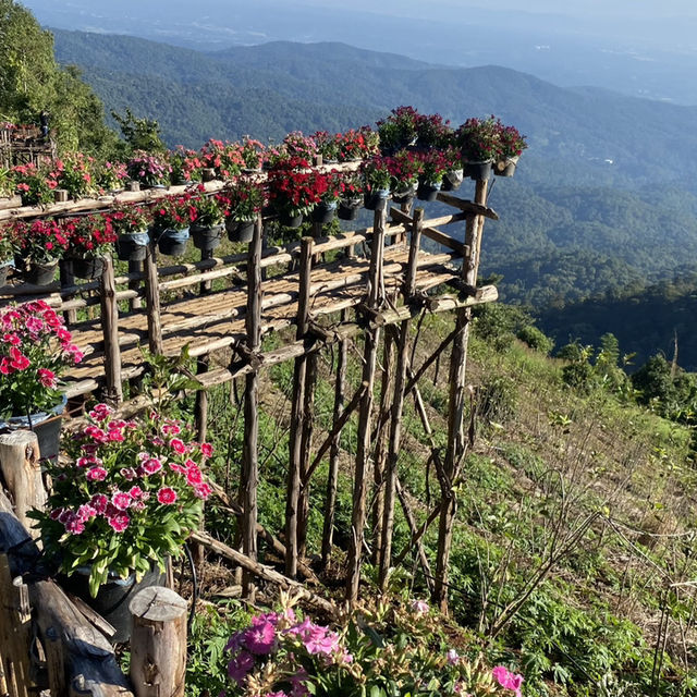 🌤️ เดินชิลบน Skywalk ม่อนแจ่ม ชมวิวสุดปังแบบ 360° 🌤️ เดินชิลบน Skywalk ม่อนแจ่ม ชมวิวสุดปังแบบ 360°