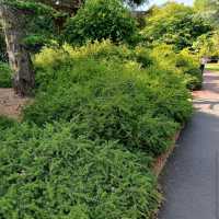 Royal Botanic Garden Edinburgh