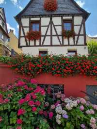 Moselle River Valley, Germany
