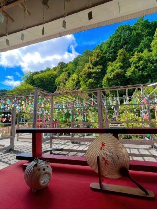 The Hidden Light: Tokoin Temple's Quiet Miracle