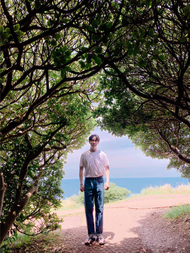 청량한 제주도여행!
