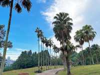 Palm Hill, Taman Botani Putrajaya