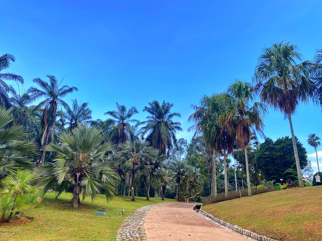 Palm Hill Putrajaya: A Hidden Green Gem in the Heart of Malaysia’s Garden City