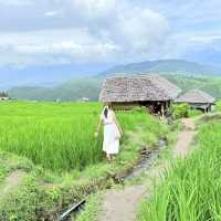 นาขั้นบันไดป่าบงเปียง