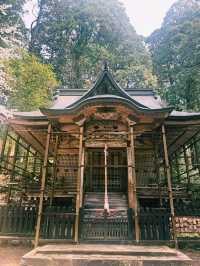 平泉寺 白山神社：靜謐的精神聖地