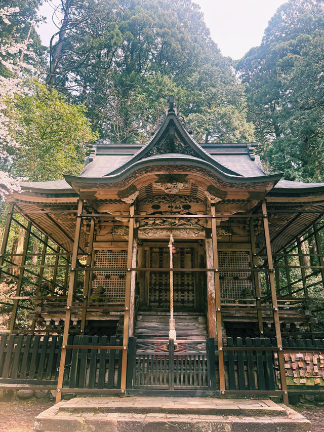 平泉寺 白山神社：靜謐的精神聖地