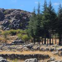 Echoes of Empires: My Solo Trip to Hattuşaş