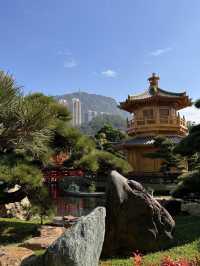 📅 Hong Kong 3 days 2 nights Best Itinerary!