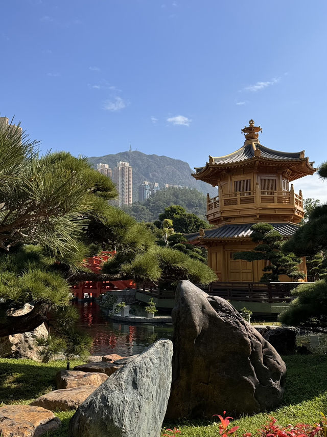 📅 Hong Kong 3 days 2 nights Best Itinerary!