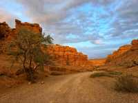 Charyn Canyon – The Grand Canyon of Central Asia ⛰️