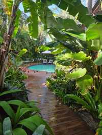 Carry away @ The Palms at palm cove