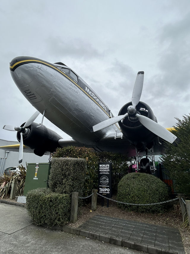 Taupō Plane Bites✈️,  