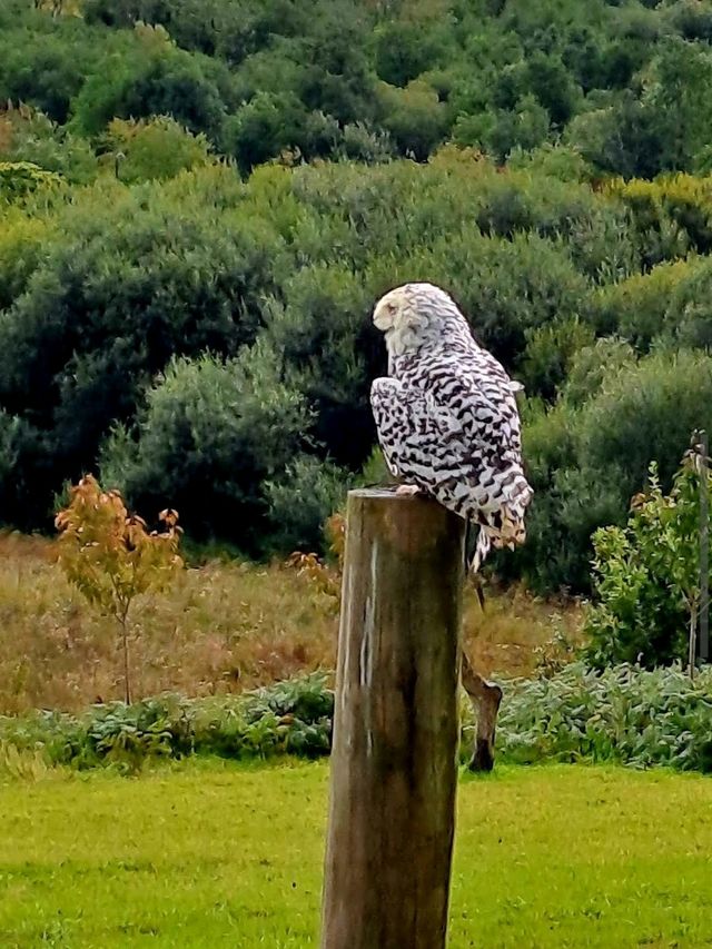 National Botanic Garden of Wales