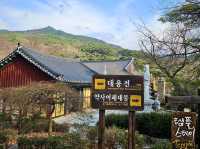 출렁다리의 짜릿함과 동화사의 고즈넉함 🌿