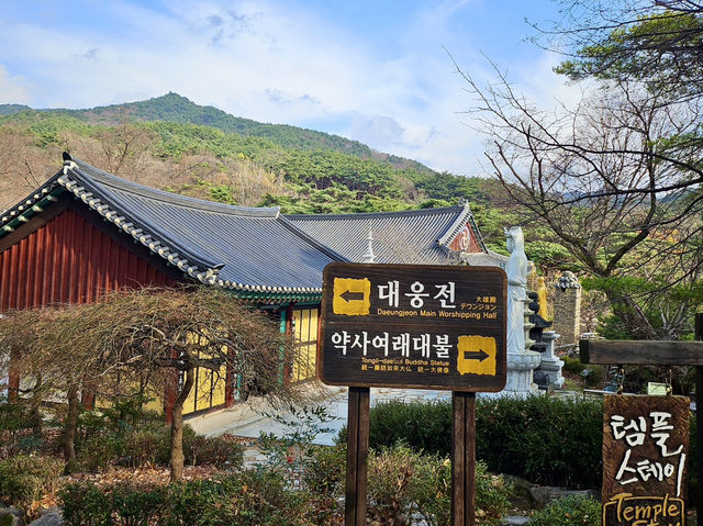 출렁다리의 짜릿함과 동화사의 고즈넉함 🌿