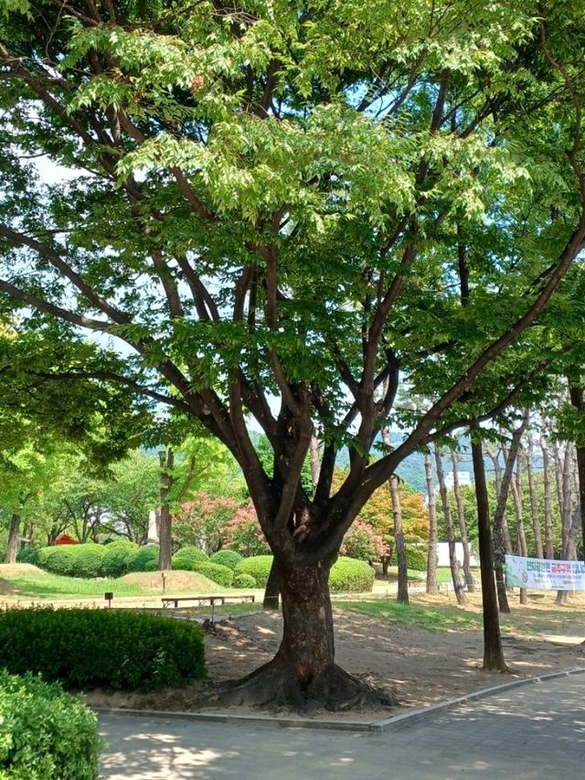 연못과 초록이 어우러진 풍경 연못과 초록이 어우러진 풍경