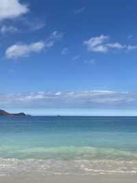 【Hawaiiのローカルタウンカイルア🏝️🍔✨】自然もグルメもぎゅっと詰まった癒しスポットへ♪