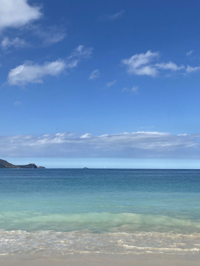 【Hawaiiのローカルタウンカイルア🏝️🍔✨】自然もグルメもぎゅっと詰まった癒しスポットへ♪