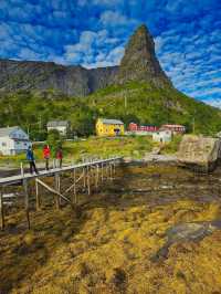🇳🇴 【挪威 Norway】Lofoten羅弗敦島自駕行程分享