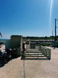 트실비 비치에서 맛과 풍경을 동시에 즐긴 하루