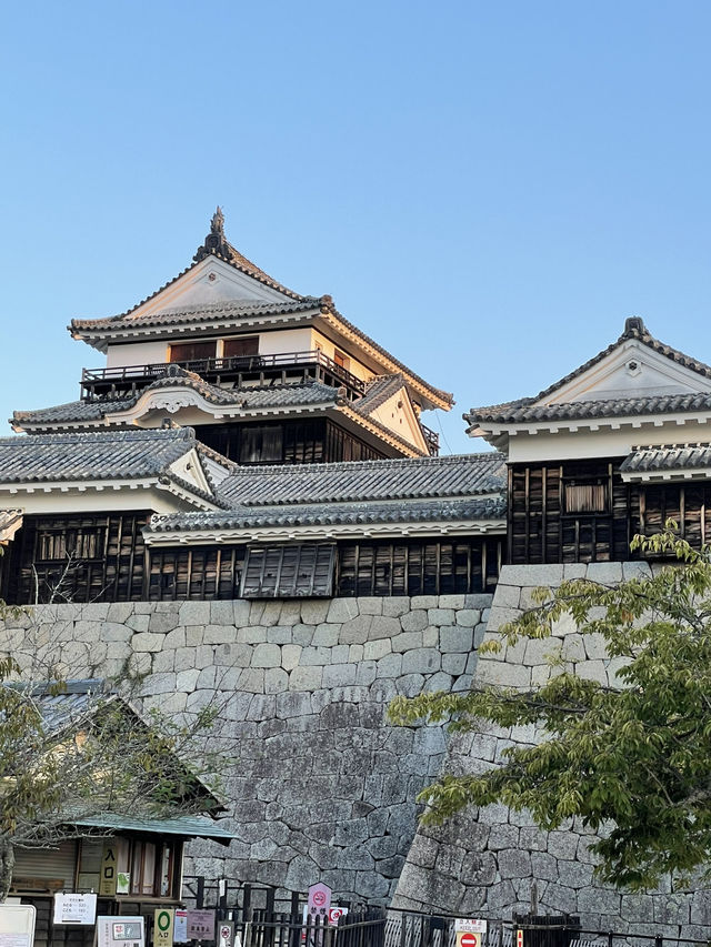江戸時代以前の天守が残る松山城 